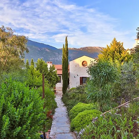Ege Villa *