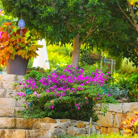 Ege Villa Kas
